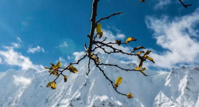 QQ截图20180502105048.png QQ截图20180502105048.png