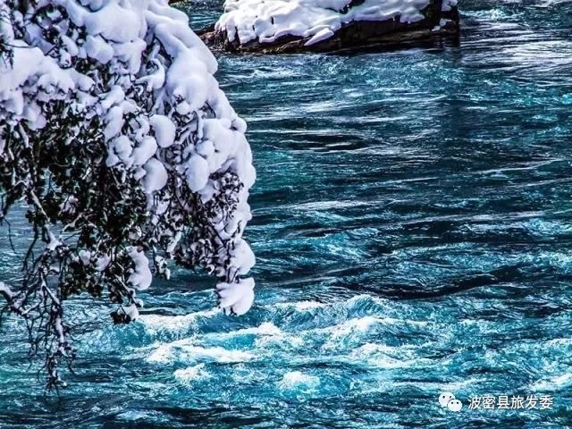 20180704_110536_031.jpg